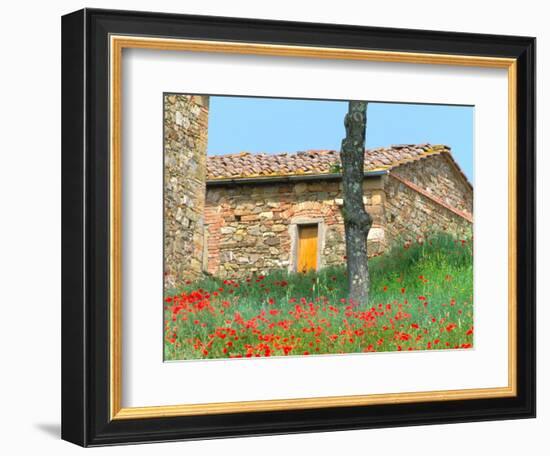 Abandoned Villa with Red Poppies, Tuscany, Italy-Julie Eggers-Framed Photographic Print