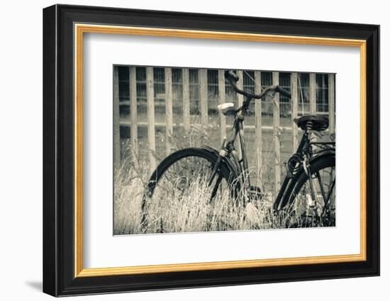 Abandoned vintage bicycle-Sheila Haddad-Framed Photographic Print