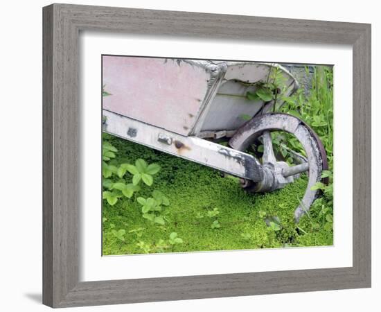 Abandoned Wheelbarrow-Tony Craddock-Framed Photographic Print