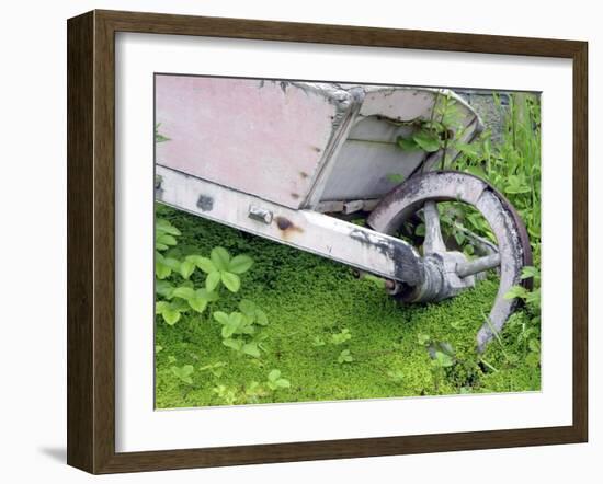 Abandoned Wheelbarrow-Tony Craddock-Framed Photographic Print