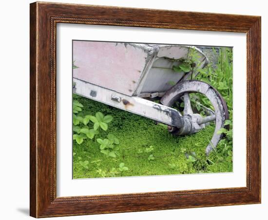 Abandoned Wheelbarrow-Tony Craddock-Framed Photographic Print