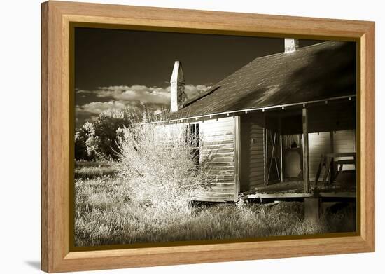 Abandoned-Alan Hausenflock-Framed Premier Image Canvas