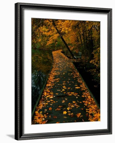 Abaveo-Jim Crotty-Framed Photographic Print