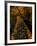 Abaveo-Jim Crotty-Framed Photographic Print