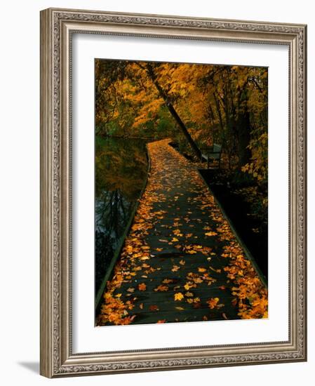 Abaveo-Jim Crotty-Framed Photographic Print