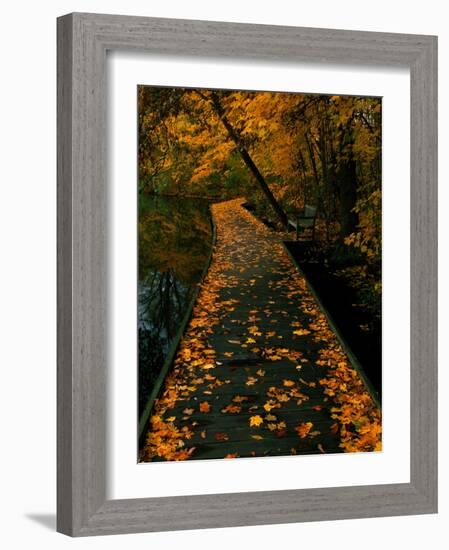 Abaveo-Jim Crotty-Framed Photographic Print