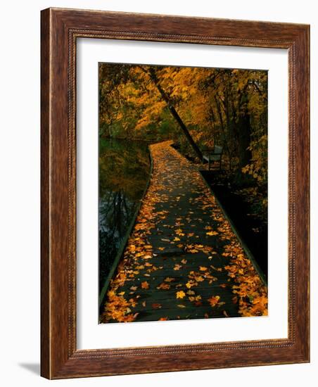 Abaveo-Jim Crotty-Framed Photographic Print