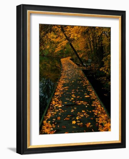 Abaveo-Jim Crotty-Framed Photographic Print