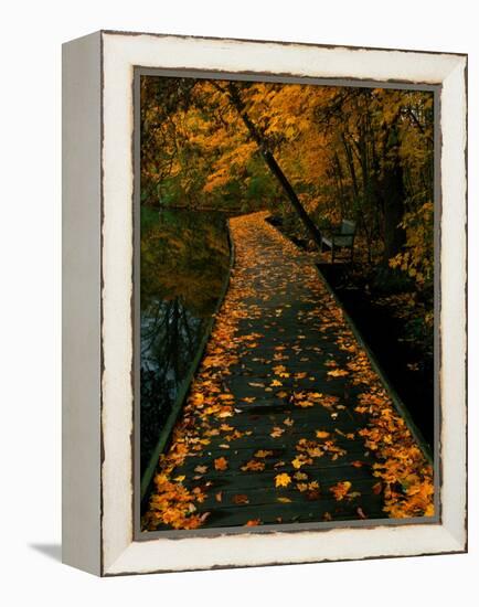 Abaveo-Jim Crotty-Framed Premier Image Canvas