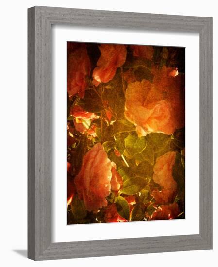 Abaveo-Tim Kahane-Framed Photographic Print