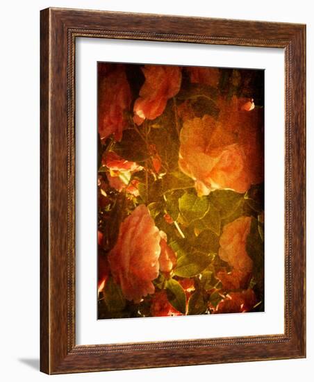 Abaveo-Tim Kahane-Framed Photographic Print