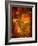 Abaveo-Tim Kahane-Framed Photographic Print