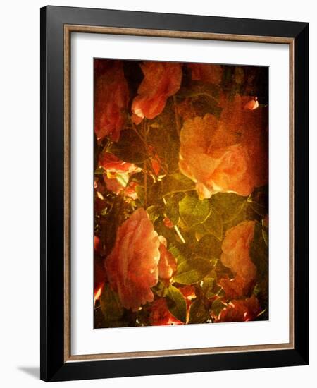 Abaveo-Tim Kahane-Framed Photographic Print