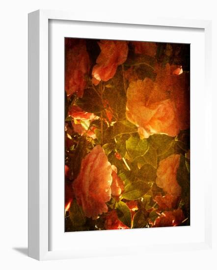 Abaveo-Tim Kahane-Framed Photographic Print