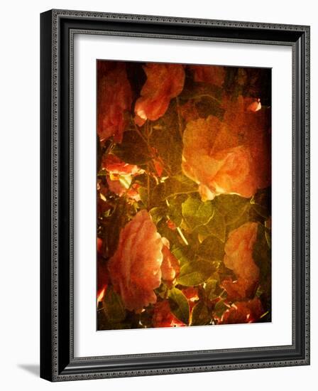 Abaveo-Tim Kahane-Framed Photographic Print