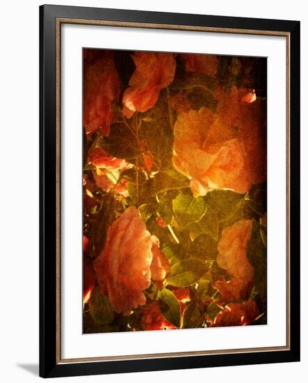 Abaveo-Tim Kahane-Framed Photographic Print