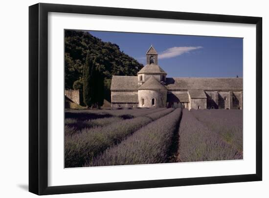 Abbaye Notre-Dame De Senanque, Gordes - Provence, France-Achim Bednorz-Framed Photographic Print