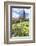 Abbey Church, Alpirsbach, Black Forest, Baden Wurttemberg, Germany, Europe-Markus Lange-Framed Photographic Print