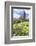 Abbey Church, Alpirsbach, Black Forest, Baden Wurttemberg, Germany, Europe-Markus Lange-Framed Photographic Print