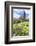 Abbey Church, Alpirsbach, Black Forest, Baden Wurttemberg, Germany, Europe-Markus Lange-Framed Photographic Print