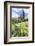 Abbey Church, Alpirsbach, Black Forest, Baden Wurttemberg, Germany, Europe-Markus Lange-Framed Photographic Print