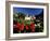 Abbey Church, St. Guilhem-Le-Desert, Herault, Languedoc-Roussillon, France, Europe-Ruth Tomlinson-Framed Photographic Print