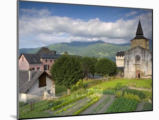 Abbey Church, St-Savin, Midi -Pyrenees, France-Doug Pearson-Mounted Photographic Print