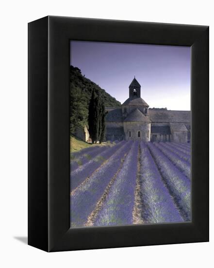 Abbey De Senanque, Provence, France-Marcel Malherbe-Framed Premier Image Canvas