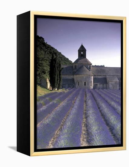 Abbey De Senanque, Provence, France-Marcel Malherbe-Framed Premier Image Canvas