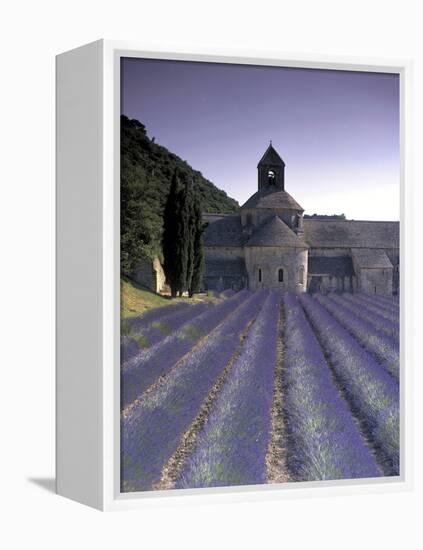 Abbey De Senanque, Provence, France-Marcel Malherbe-Framed Premier Image Canvas