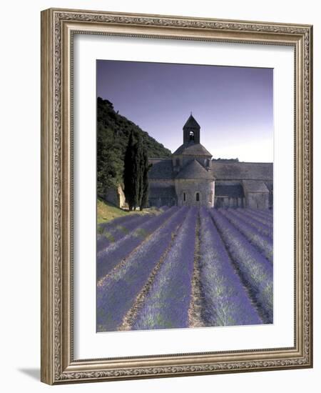 Abbey De Senanque, Provence, France-Marcel Malherbe-Framed Photographic Print