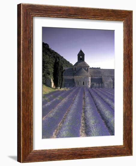 Abbey De Senanque, Provence, France-Marcel Malherbe-Framed Photographic Print