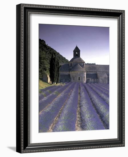 Abbey De Senanque, Provence, France-Marcel Malherbe-Framed Photographic Print