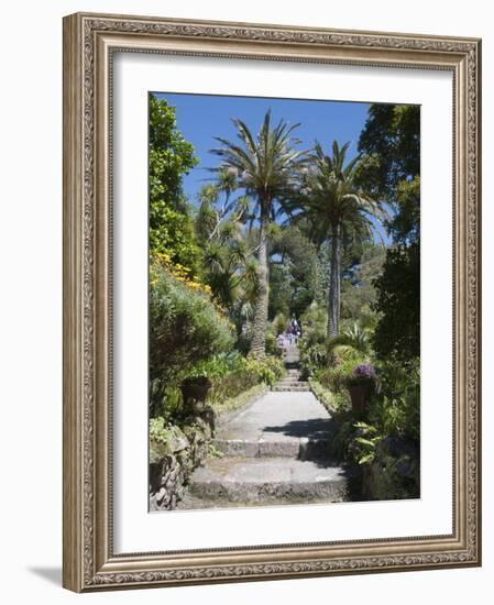 Abbey Gardens, Tresco, Isles of Scilly, Cornwall, United Kingdom, Europe-Robert Harding-Framed Photographic Print