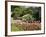 Abbey Gardens, Tresco, Isles of Scilly, United Kingdom, Europe-null-Framed Photographic Print