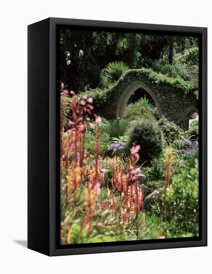 Abbey Gardens, Tresco, Isles of Scilly, United Kingdom-Adam Woolfitt-Framed Premier Image Canvas