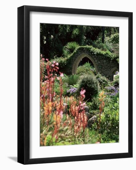 Abbey Gardens, Tresco, Isles of Scilly, United Kingdom-Adam Woolfitt-Framed Photographic Print