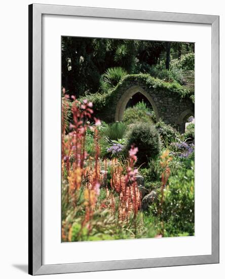 Abbey Gardens, Tresco, Isles of Scilly, United Kingdom-Adam Woolfitt-Framed Photographic Print