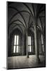 Abbey interior, Mont Saint-Michel monastery, Normandy, France-Russ Bishop-Mounted Photographic Print