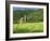 Abbey of Sant' Antimo, Near Montalcino, Tuscany. Exterior-Joe Cornish-Framed Photographic Print