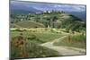 Abbey of Sant' Antimo, Tuscany. Hill Town of Castelnuovo Dell' Abate in Background-Joe Cornish-Mounted Photographic Print