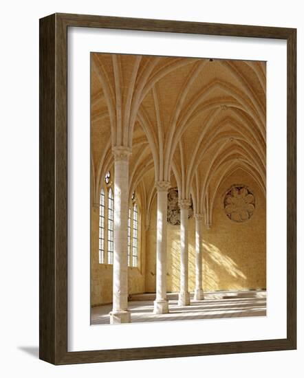 Abbey of St; Jean Des Vignes, Soissons, Aisne Department, Picardy, France-Ivan Vdovin-Framed Photographic Print