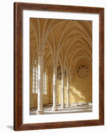 Abbey of St; Jean Des Vignes, Soissons, Aisne Department, Picardy, France-Ivan Vdovin-Framed Photographic Print