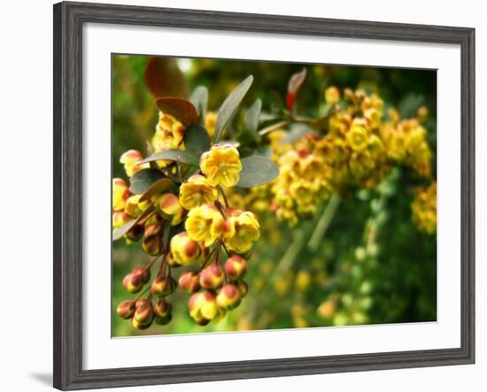 Abbott-Cristina Carra Caso-Framed Photographic Print