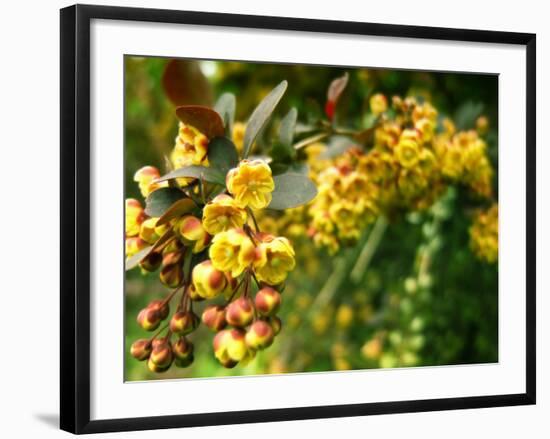 Abbott-Cristina Carra Caso-Framed Photographic Print