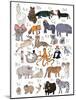 ABC Party Animal-Hanna Melin-Mounted Art Print