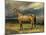 Abdul Medschid' the Chestnut Arab Horse, 1855-Carl Constantin Steffeck-Mounted Giclee Print