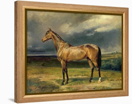 Abdul Medschid' the Chestnut Arab Horse, 1855-Carl Constantin Steffeck-Framed Premier Image Canvas