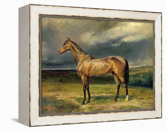 Abdul Medschid' the Chestnut Arab Horse, 1855-Carl Constantin Steffeck-Framed Premier Image Canvas