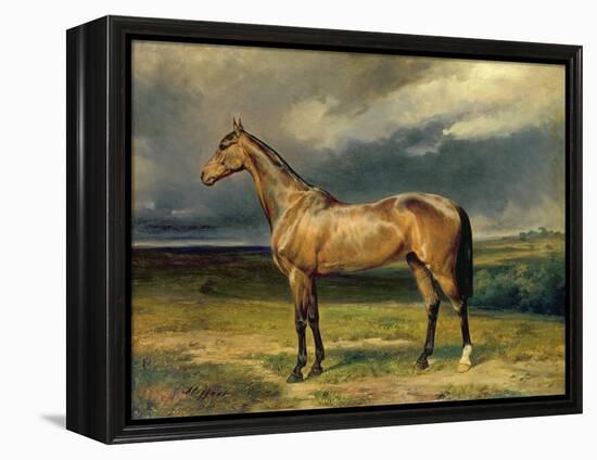 Abdul Medschid' the Chestnut Arab Horse, 1855-Carl Constantin Steffeck-Framed Premier Image Canvas